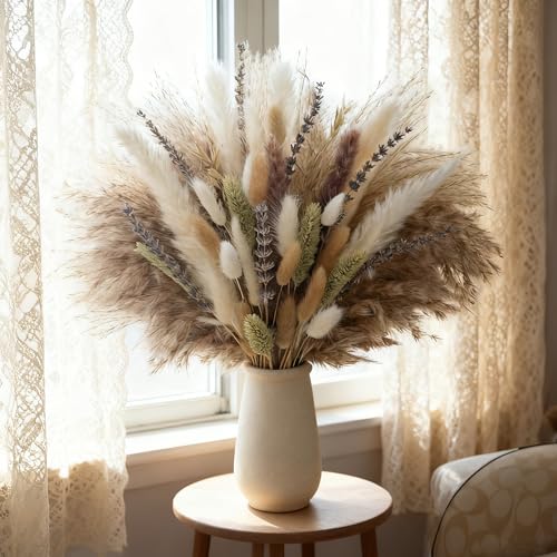 Crafity 57 St Ck Getrocknetes Pampasgras Trockenblumen Lavendel