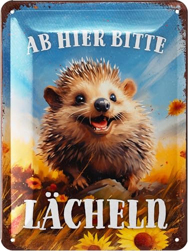 Lanolu Retro Blechschild Ab Hier L Cheln Blechschilder