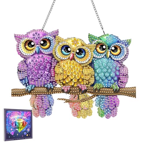 Lomsioy Diamond Art Hanging Kit For Adult Vogel