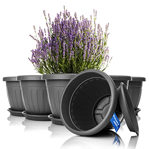 Bigdean 6x Blumentopf Mit Untersetzer Rund 40xh31 Cm