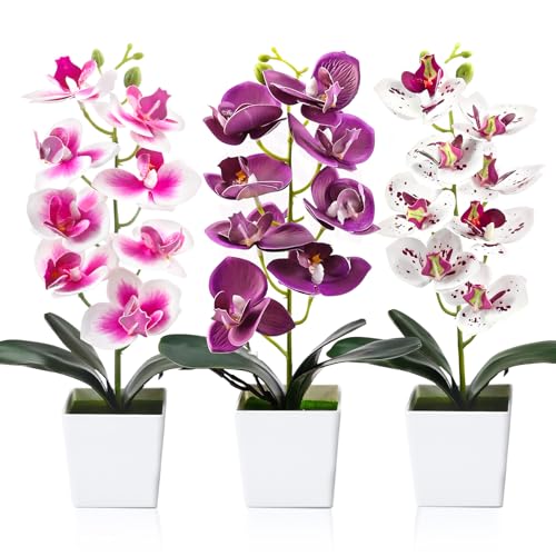 3 Orchideen K Nstlich 30cm Kunstblumen Pflanzen Phalaenopsis