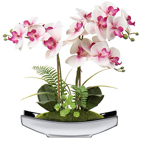 Kunstblumen Orchideen K Nstliche Phalaenopsis Bonsai Kunstblumen Wie