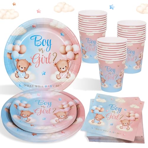 Heboland Gender Reveal Party Deko Partygechirr Set F