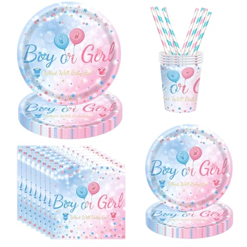 Assugo 60 Gender Reveal Party Deko Partygeschirr Set