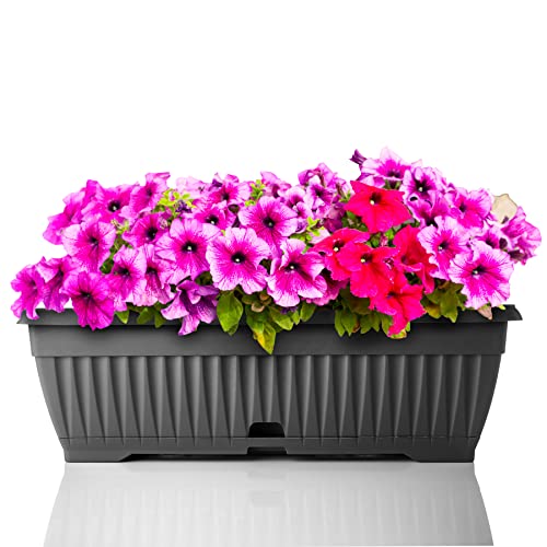 Bigdean Blumenkasten Mit Abnehmbarem Untersetzer Anthrazit 50 Cm