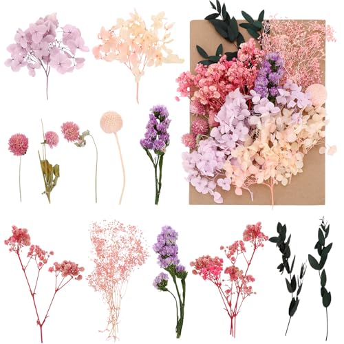 Halinuia Getrocknete Blumen Nat Rliche Trockenblumen Deko Zum