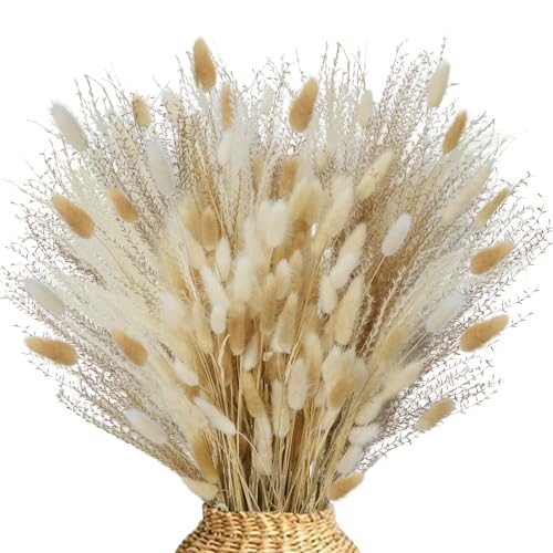 Fairblo Getrocknete Pampasgras Dekoration Hasenschwanzgras Und Pampasgras Trockenblumenstrau