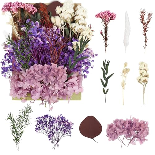 Getrocknete Blumen Gepresste Blumen Trockenblumen Trockenblumen Basteln F