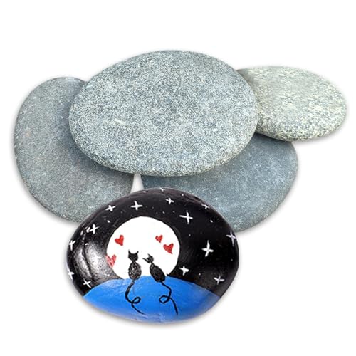 Neusid 5 St Ck 8 12 Cm Gro