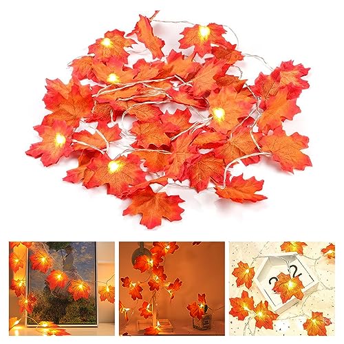 Hiullen Herbst Lichterkette 6m 40 Led Ahornbl Tter