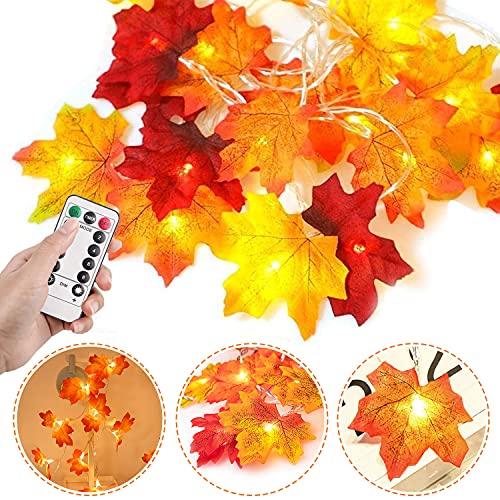 Vzatt Herbst Lichterkette 6m 40 Led Ahornbl Tter