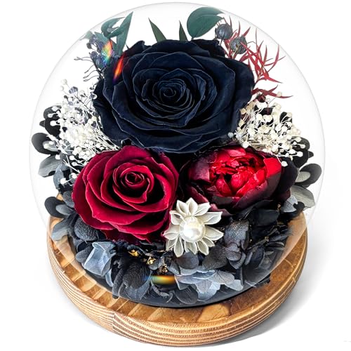 Touloube Weihnachten Geschenk Ewige Infinity Schwarz Rosen Im