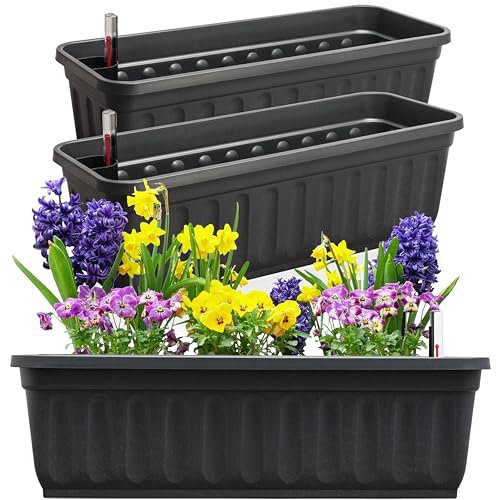 Hausfelder Blumenkasten 3er Set Mit Wasserspeicher Und Wasserstandsanzeige