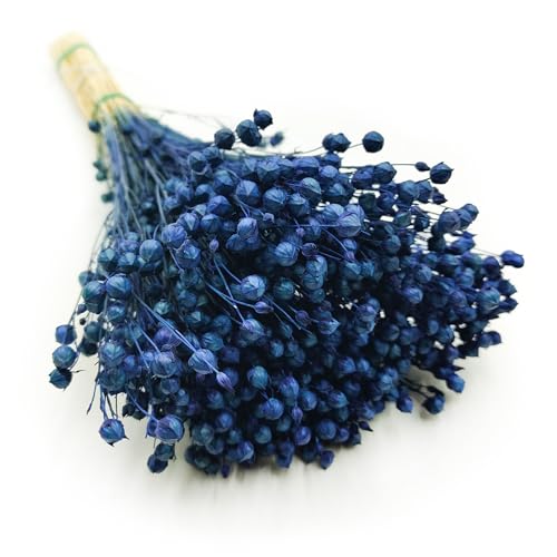 Enchanted Dekogras Getrocknetes Gras Flachs Ziergras Leinen Trockenblumen