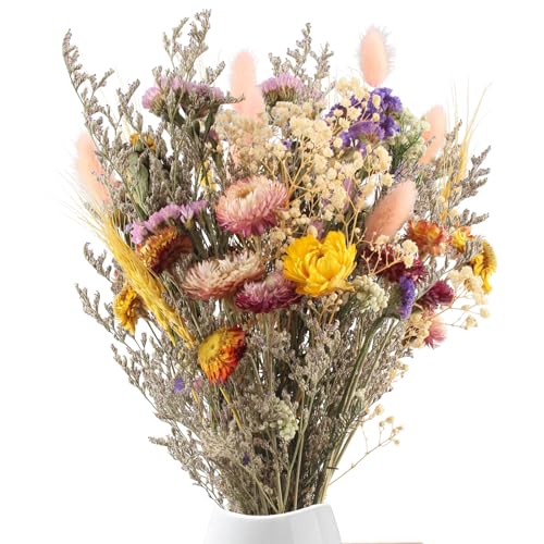 Sunyunze 40 St Ck Trockenblumenstrau Trockenblumen Zum Basteln