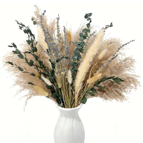 100 St Ck Trockenblumen Pampasgras 44 Cm Trockenblumenstrau