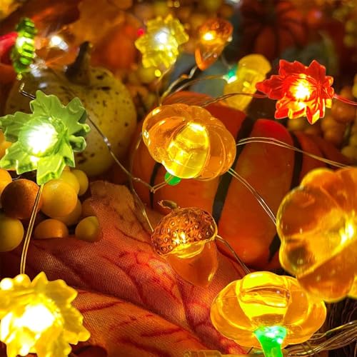 Koboko Lichterkette Herbst 2m 20led Herbst Deko Lichterkette