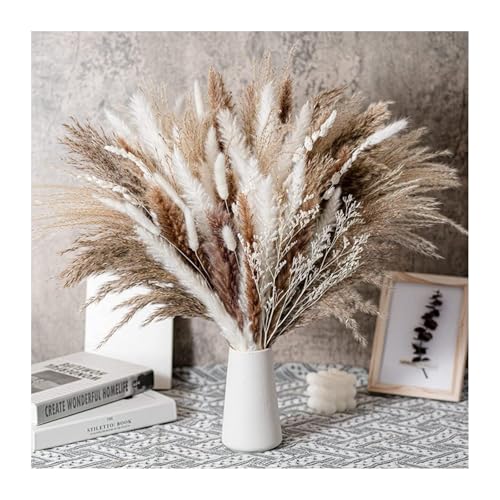 Epicsoa Getrocknete Pampasgras Dekoration 90 St Ck Pampasgras