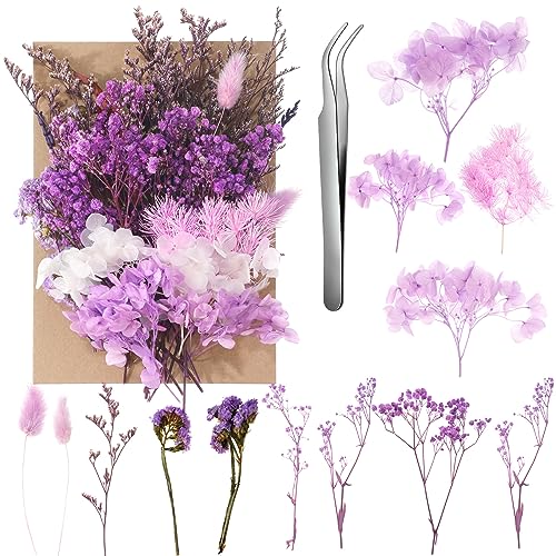 Aurorayer Trockenblumen Nat Rliche Getrocknete Blumen F R