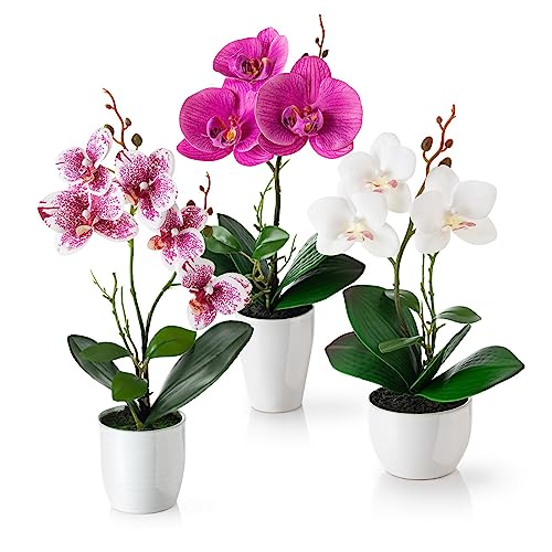 Pasch Kunstblumen Im Topf 35cm 3er Set Orchideen