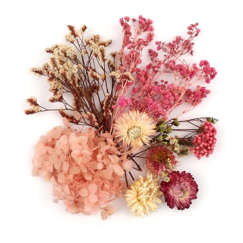 Trockenblumen Zum Basteln Nat Rliche Getrocknete Blumen Trockenblumen