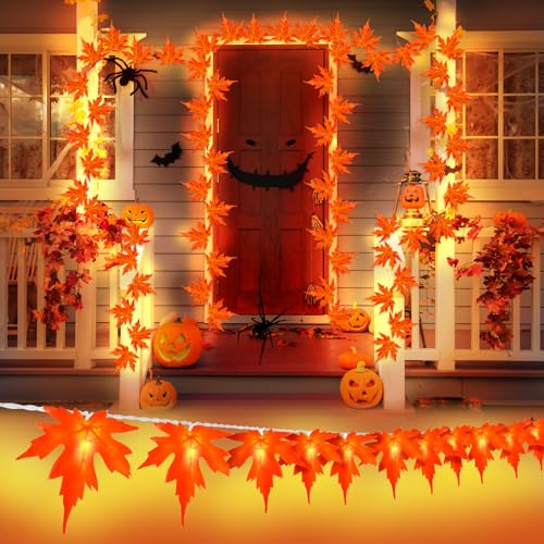 Ffzzkj Herbst Lichterkette 3m 20 Led Halloween Lichterkette