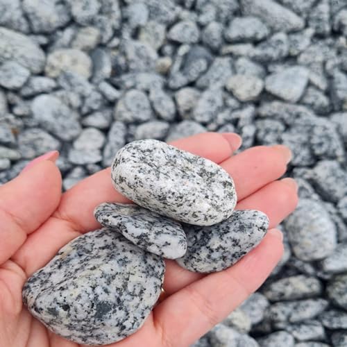 Dekosteine Grauer Kieselstein Dalmatiner Kieselsteine Deko Verschiedene Natur