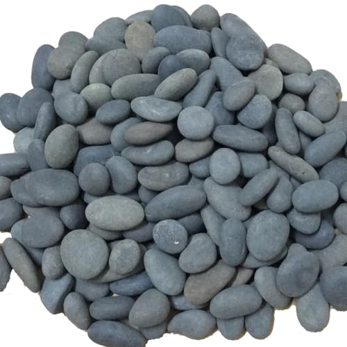 Ruidinaways 900g Kiesel Natur Kieselsteine Dekorative Steine Naturkiesel