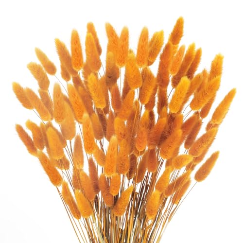 Huaesin 120pcs Getrocknet Pampasgras Nat Rliche Pampas Gras