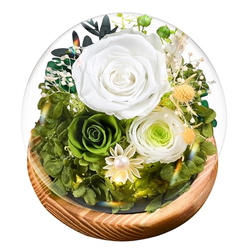 Valentinstagsgeschenke F R Frauen Ewige Infinity Wei Rosen