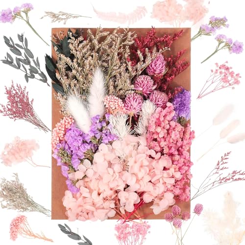 Jieyuchu Trockenblumen Trockenblumen Zum Basteln Nat Rliche Getrocknte