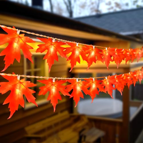 Bolweo Herbst Lichterkette 3m 20led Halloween Lichterketten Batteriebetrieben