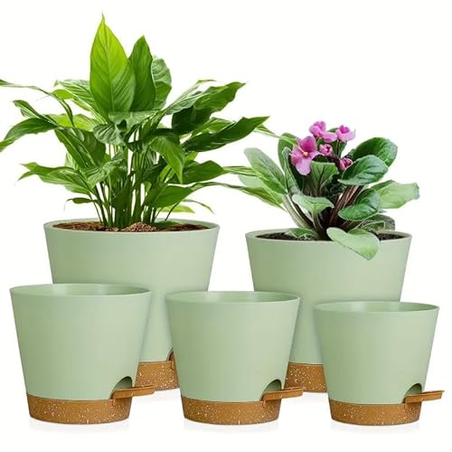 Neuytiky Selbstbew Ssernde Pflanzt Pfe Set 5 Gr