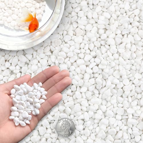 Cheoar Wei E Dekosteine 18ib 8 2kg 12