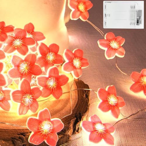 Isisyu Led Lichterkette Kirschbl Ten 2m 20led Blumen