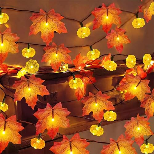 Koboko Lichterkette Herbst 3m 20led K Rbis Ahornbl