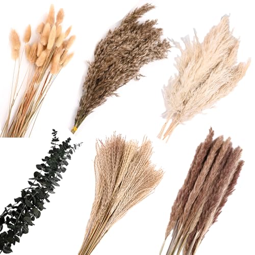 Behiruch Getrocknet Pampasgras Deko 110 St Ck Nat
