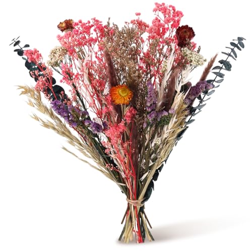 Laumoe 30 St Ck Trockenblumenstrau Gro Set 42cm