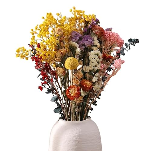 Rosewinec 30 St Ck Trockenblumen Deko Set Nat