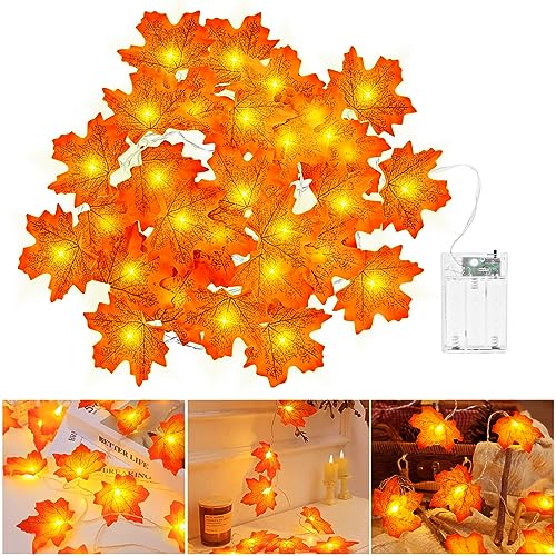 Cshare Herbst Lichterkette Batterie 3m 20led Halloween Deko