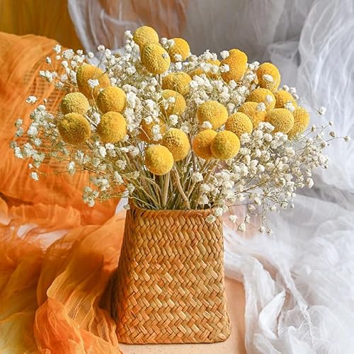 Trockenblumen Deko Set Nat Rliche Billy Balls Blume